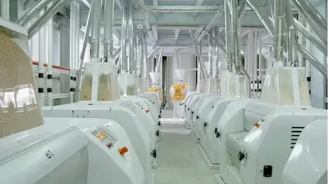 Flour Mill Machine in Bangladesh